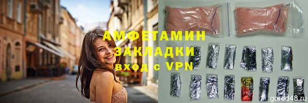 мдпв Ладушкин