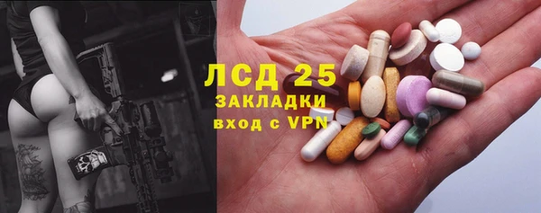 твердый Лагань