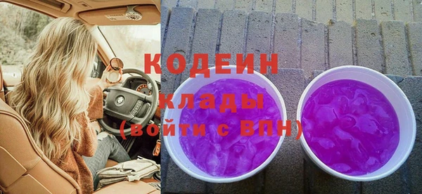 твердый Лагань