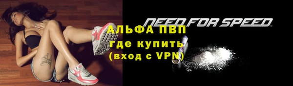 мдпв Ладушкин
