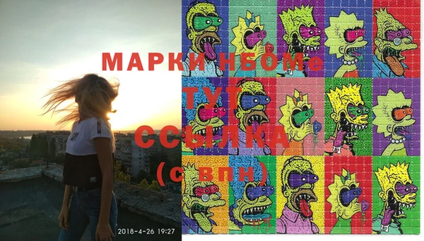 мдпв Ладушкин