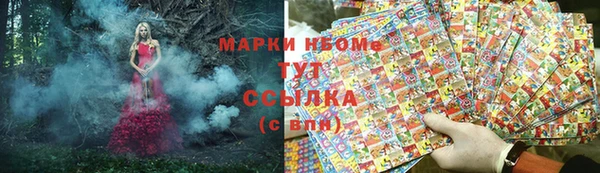 мдпв Ладушкин