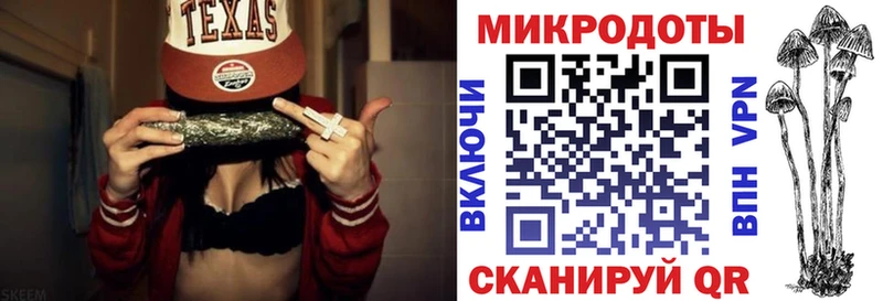Псилоцибиновые грибы Cubensis  Купить где  Комсомольск 